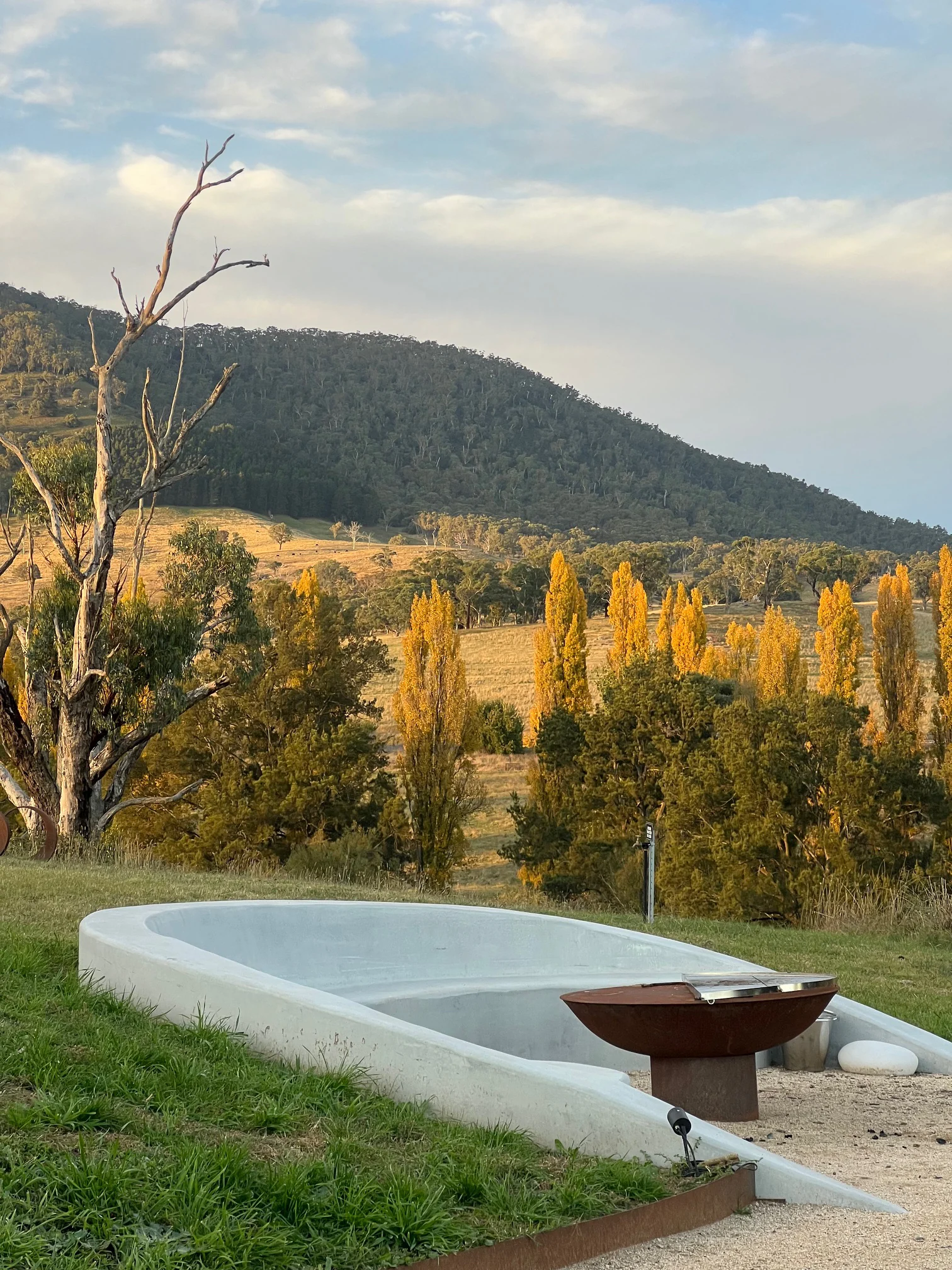 Curved concrete bench integrated with the surrounding landscape